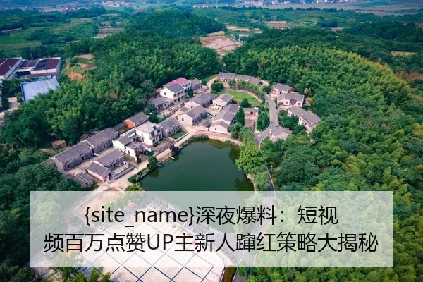黑料不打烊深夜爆料：短视频百万点赞UP主新人蹿红策略大揭秘